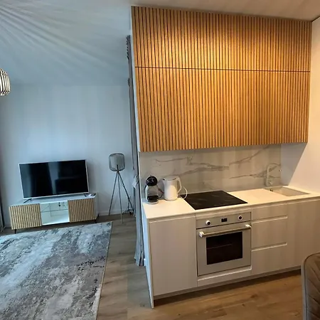 Apartment Zalia Kopa In Center Vilnius