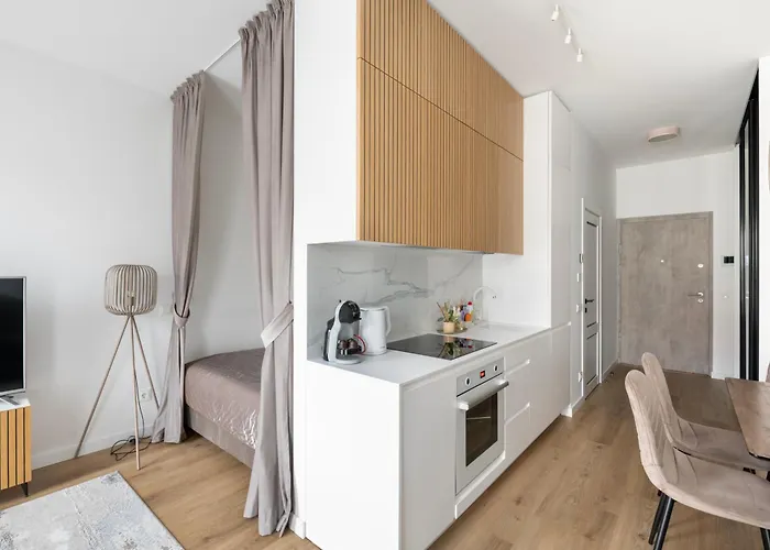 Zalia Kopa In Center * Vilnius