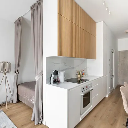 Zalia Kopa In Center * Βίλνιους